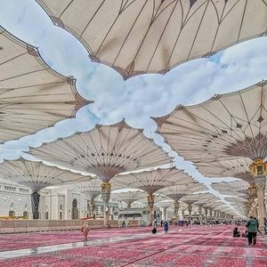 Meet your Posher, Abdul